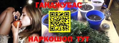 Альфа ПВП Донской