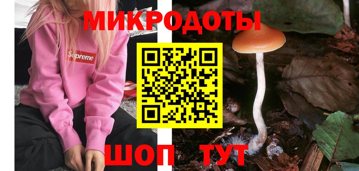 Вольск  Псилоцибиновые грибы GOLDEN TEACHER  Вход с VPN 